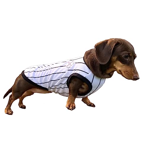 D DOGGY STAR Dackel Kleidung für Hunde Baseball Mini und Erwachsene T-Shirts M, Baseball Schwarz von D DOGGY STAR