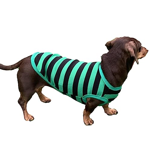 D DOGGY STAR Dackel Kleidung für Hunde Mini und Erwachsene T-Shirt (Größe XL, gestreift, Grün/Schwarz) von D DOGGY STAR