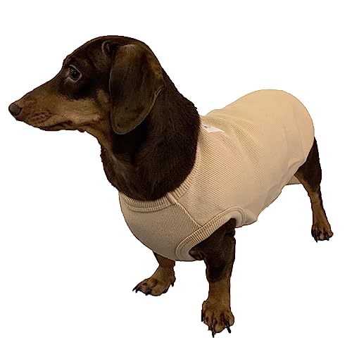 D DOGGY STAR Dackel-Kleidung für Hunde Mini und Erwachsene T-Shirts (L,Solid Beige) von D DOGGY STAR