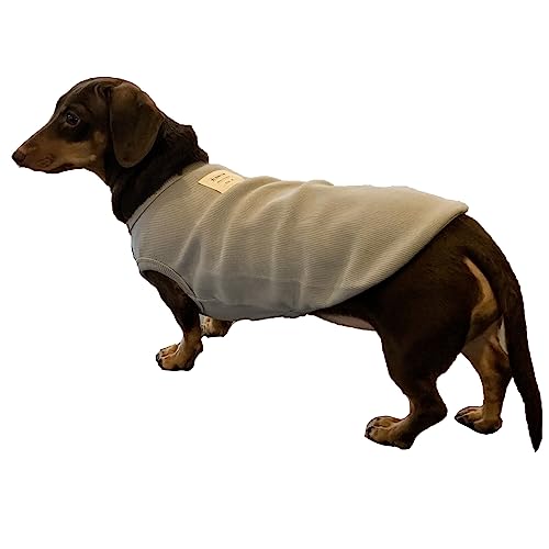 D DOGGY STAR Dackel Kleidung für Hunde Mini und Erwachsene T-Shirts (XS, Solid Grey) von D DOGGY STAR