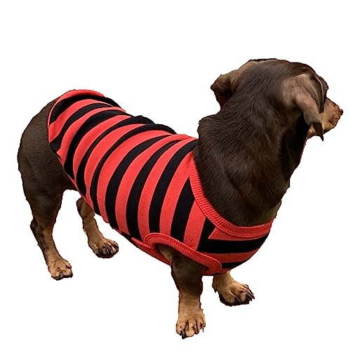 D DOGGY STAR Dackel-Kleidung für Hunde Mini und Erwachsene T-Shirts (XS, gestreift, Rot/Schwarz) von D DOGGY STAR