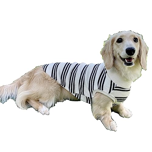 D DOGGY STAR Dackel Kleidung für Hunde Mini und Erwachsene T Shirts M, Schwarz gestreift von D DOGGY STAR