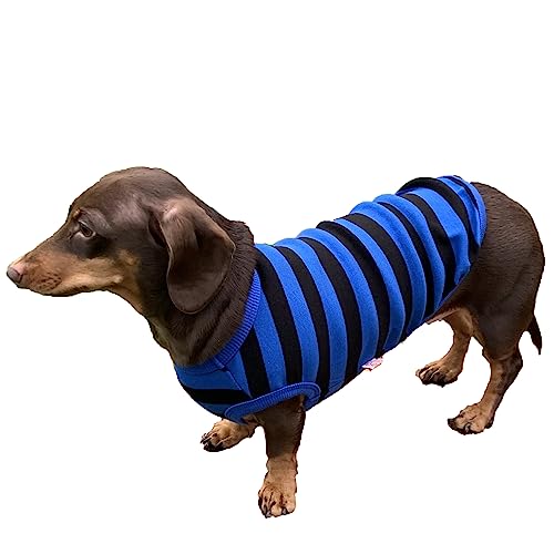 D DOGGY STAR Dackel-Kleidung für Hunde Mini und Erwachsene T-Shirts S, gestreift, Blau/Schwarz von D DOGGY STAR