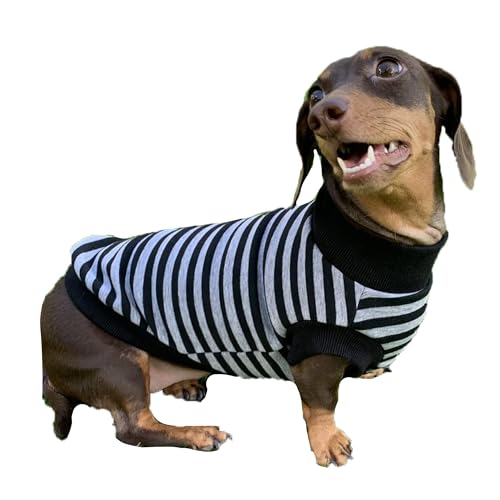 D DOGGY STAR Dackel Pullover für Hunde Futter Nickerchen Streifen T-Shirts (Größe XL, Schwarz/Grau) von D DOGGY STAR