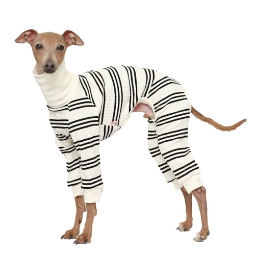 D DOGGY STAR Einteiler für italienische Windhunde, weich, dehnbar, raffiniertes gestreiftes Outfit, Whippet für Hundemantel (Größe XL, Onsi Schwarz, Str) von D DOGGY STAR
