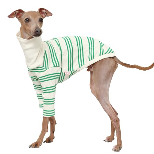 D DOGGY STAR Flexibles T-Shirt für italienische Windhunde, Whippet für Hunde, Größe 3XL, Grün gestreift von D DOGGY STAR