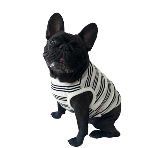D DOGGY STAR Französische Bulldogge Kleidung für Hunde, super dehnbar, gestreift, Größe XL, Schwarz gestreift D DOGGY STAR Französische Bulldogge Kleidung für Hunde, super dehnbar, gestreift, Größe XL, Schwarz gestreift von D DOGGY STAR
