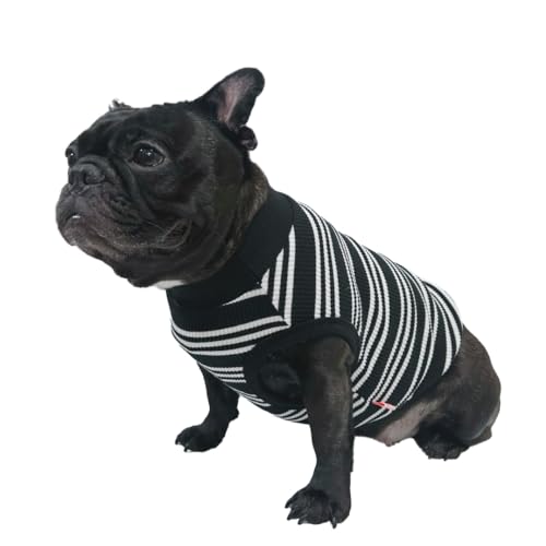 D DOGGY STAR Hundekleidung für Hunde, super dehnbar, gestreift, Größe L, Elfenbeinfarben gestreift D DOGGY STAR Hundekleidung für Hunde, super dehnbar, gestreift, Größe L, Elfenbeinfarben gestreift von D DOGGY STAR