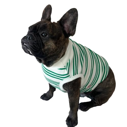 D DOGGY STAR Hundekleidung für Hunde, super dehnbar, gestreift, Größe L, Grün gestreift D DOGGY STAR Hundekleidung für Hunde, super dehnbar, gestreift, Größe L, Grün gestreift von D DOGGY STAR