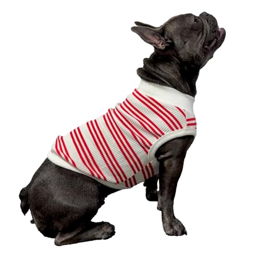 D DOGGY STAR Hundekleidung für Hunde, super dehnbar, gestreift, Größe L, Rot gestreift D DOGGY STAR Hundekleidung für Hunde, super dehnbar, gestreift, Größe L, Rot gestreift von D DOGGY STAR
