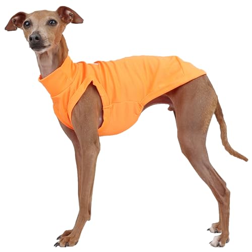 D DOGGY STAR Italienische Windhund-Kleidung, Sommer, cooles T-Shirt, Rashguard, Badeanzug, Whippet für Hunde, Größe XXL, Neonorange von D DOGGY STAR