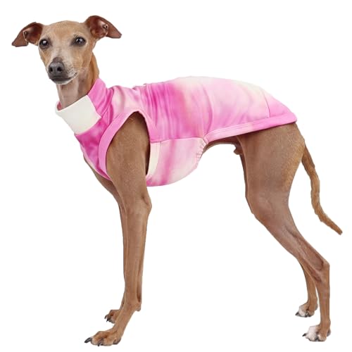 D DOGGY STAR Italienische Windhund-Kleidung, Sommer, cooles T-Shirt für Hunde, Größe S, Rosa gebeizt von D DOGGY STAR