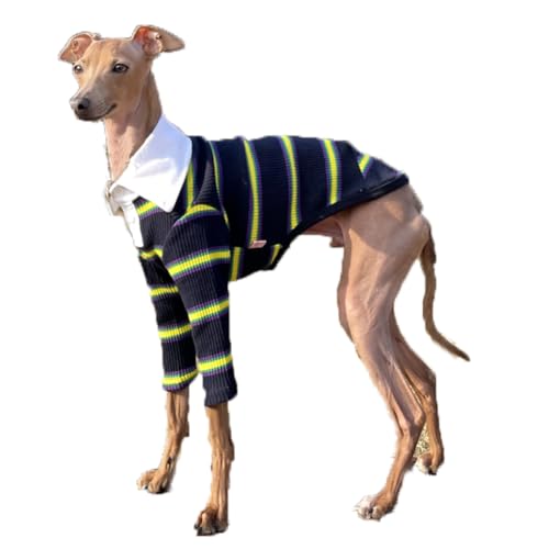 D DOGGY STAR Italienische Windhund-Kleidung mit Kragen, dehnbar, Whippet für Hunde, Größe S, Marineblau von D DOGGY STAR