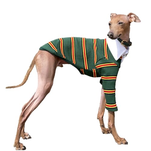 D DOGGY STAR Italienische Windhund-Kleidung mit Kragen, dehnbares T-Shirt für Hunde, Größe XXL, Grün mit Kragen von D DOGGY STAR