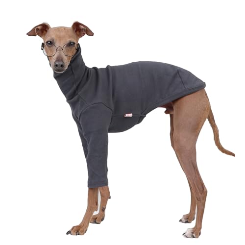 D Doggy Star Italienische Windhunde, flexible T-Shirts für Hunde, Größe S, Dunkelgrau D Doggy Star Italienische Windhunde, flexible T-Shirts für Hunde, Größe S, Dunkelgrau von doggystar