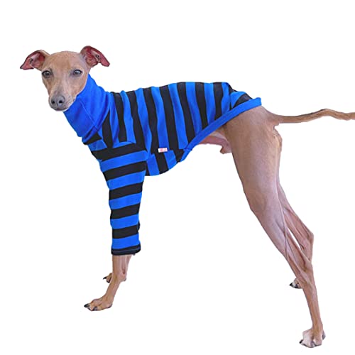 D DOGGY STAR Italienisches Windhund-Kleidung, flexibles T-Shirt, Whippet für Hunde, Größe M, Blau / Schwarz von D DOGGY STAR