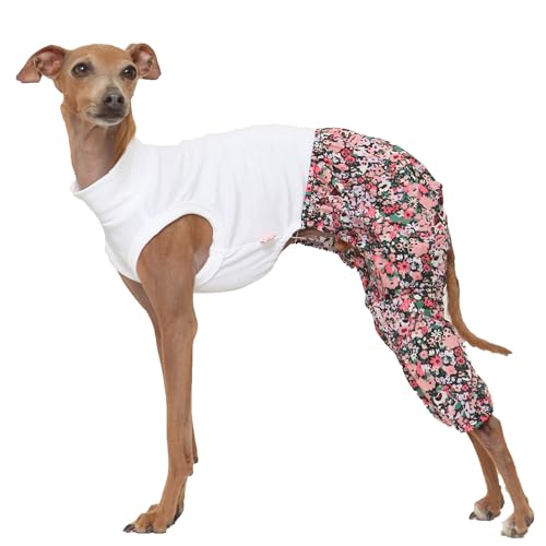 D DOGGY STAR Mombbe Einteiler, ärmellos, für italienische Windhunde, Whippet für Hundemantel, Größe L, Schwarz D DOGGY STAR Mombbe Einteiler, ärmellos, für italienische Windhunde, Whippet für Hundemantel, Größe L, Schwarz von D DOGGY STAR