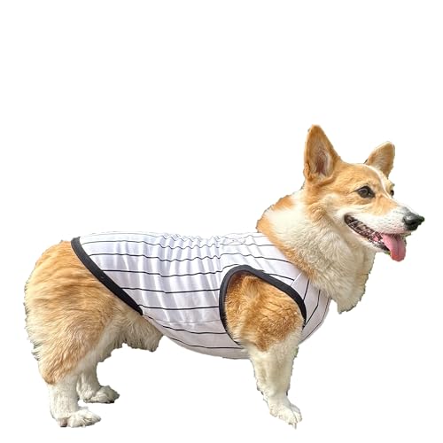 D DOGGY STAR Walisische Corgi-Kleidung für Hunde, Frühling, Sommer, Baseball-T-Shirt, kühlend, ärmellos, Größe XXL, Schwarz (Baseball-Schwarz) von D DOGGY STAR