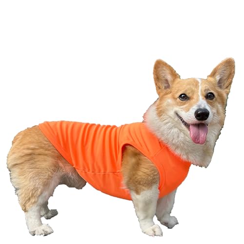D DOGGY STAR Walisische Corgi-Kleidung für Hunde, Frühling, Sommer, kühlend, ärmellos, Größe XXL, Neonorange von D DOGGY STAR