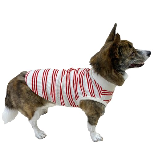 D DOGGY STAR Walisische Corgi-Kleidung für Hunde, gestreift, Baumwolle, dehnbar, ärmellos, Größe XXL, Rot gestreift D DOGGY STAR Walisische Corgi-Kleidung für Hunde, gestreift, Baumwolle, dehnbar, ärmellos, Größe XXL, Rot gestreift von D DOGGY STAR
