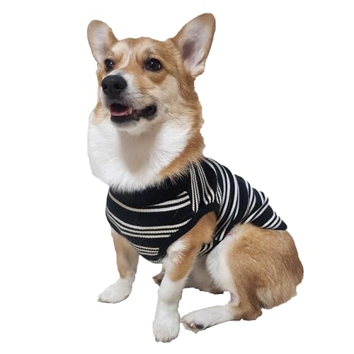 D DOGGY STAR Welsh Corgi Kleidung für Hunde, gestreift, Baumwolle, dehnbar, ärmellos, Größe 2XL, Elfenbeinfarben gestreift von D DOGGY STAR