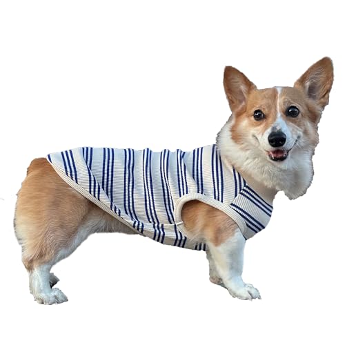 D DOGGY STAR Welsh Corgi Kleidung für Hunde, gestreift, Baumwolle, dehnbar, ärmellos, Größe 3XL, Blau gestreift von D DOGGY STAR