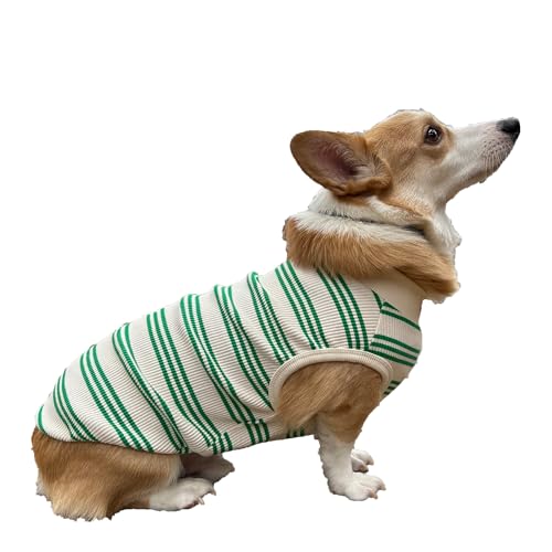 D DOGGY STAR Welsh Corgi Kleidung für Hunde, gestreift, Baumwolle, dehnbar, ärmellos, Größe 3XL, Grün gestreift D DOGGY STAR Welsh Corgi Kleidung für Hunde, gestreift, Baumwolle, dehnbar, ärmellos, Größe 3XL, Grün gestreift von D DOGGY STAR