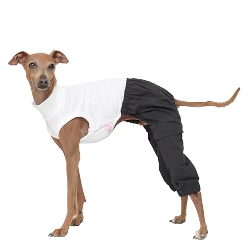 D Doggy Star Cargohose für italienische Windhunde, Einteiler, Whippet für Hundemantel, Größe 3XL, Marineblau D Doggy Star Cargohose für italienische Windhunde, Einteiler, Whippet für Hundemantel, Größe 3XL, Marineblau von D DOGGY STAR