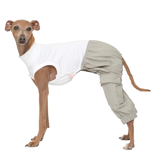 D Doggy Star Cargohose für italienische Windhunde, Einteiler, Whippet für Hundemantel, Größe L, Grau D Doggy Star Cargohose für italienische Windhunde, Einteiler, Whippet für Hundemantel, Größe L, Grau von D DOGGY STAR