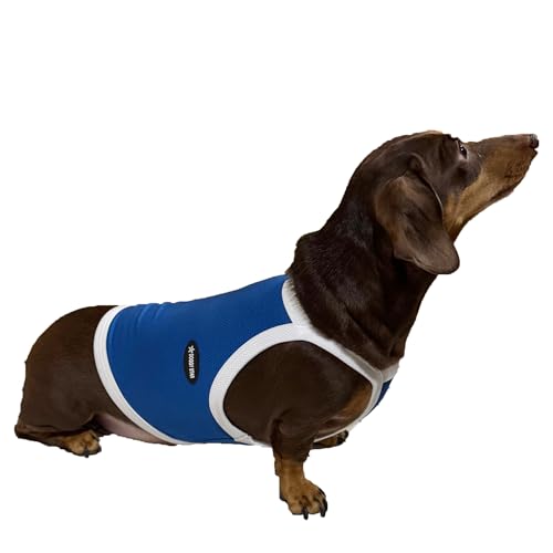 D Doggy Star Dackel Kleidung Frühling Sommer kühlendes String T-Shirt Crop Top für Hunde (S, Camisole Blue) von D DOGGY STAR