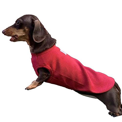D Doggy Star Dackel Kleidung für Hunde, Mini und Erwachsene, T-Shirt (Größe M, Weinrot) von D DOGGY STAR