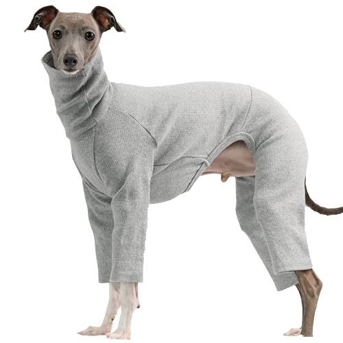 D Doggy Star Einteiler für italienische Windhunde, dehnbar, Größe S, gerippt, Grau D Doggy Star Einteiler für italienische Windhunde, dehnbar, Größe S, gerippt, Grau von D DOGGY STAR