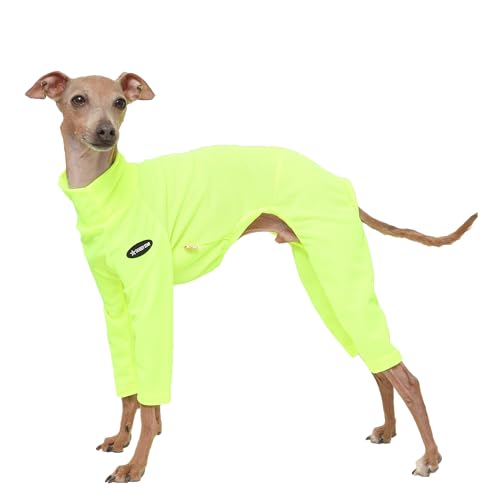 D Doggy Star Einteiler für italienische Windhunde, dehnbar, Neonfarben, für Frühling und Sommer, Größe 3XL, Onsi Ne Gelb D Doggy Star Einteiler für italienische Windhunde, dehnbar, Neonfarben, für Frühling und Sommer, Größe 3XL, Onsi Ne Gelb von D DOGGY STAR