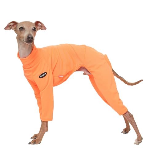 D Doggy Star Einteiler für italienische Windhunde, dehnbar, Neonfarben, für Frühling und Sommer, Größe S, Onsi Ne Orange D Doggy Star Einteiler für italienische Windhunde, dehnbar, Neonfarben, für Frühling und Sommer, Größe S, Onsi Ne Orange von D DOGGY STAR