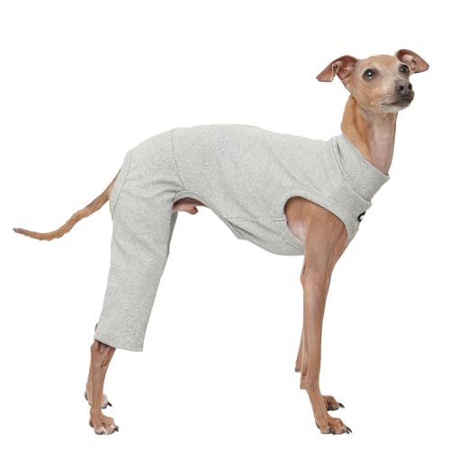 D Doggy Star Einteiler für italienische Windhunde, hoher Stretch, ärmellos, zum Stylen, Größe XL, Grau (Coordi Grey) von D DOGGY STAR