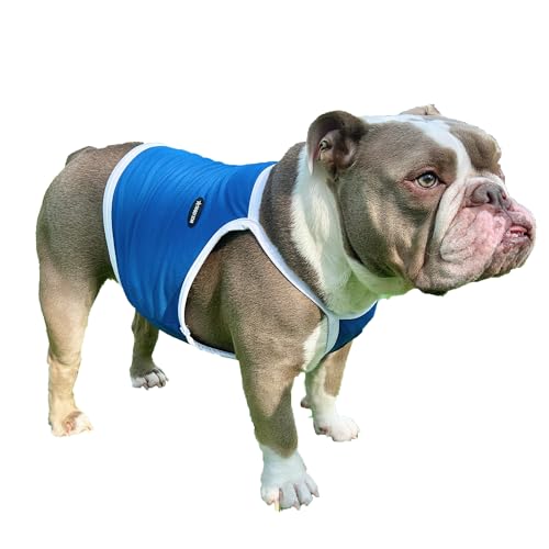 D Doggy Star French Bulldogge, dehnbares bauchfreies Oberteil, kühlendes Oberteil für Hunde, Größe 5XL, Camisole Blau von D DOGGY STAR