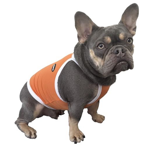 D Doggy Star French Bulldogge, dehnbares bauchfreies Oberteil, kühlendes Oberteil für Hunde, Größe XXL, Camisole Orange von D DOGGY STAR