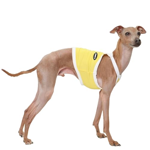 D Doggy Star Italienische Windhunde, Sommerkleidung, kühlendes String, ärmellos, bauchfreies Top für Hunde, Größe M, Camisole Gelb von D DOGGY STAR