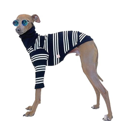 D Doggy Star Italienische Windhundkleidung, flexibles T-Shirt für Hunde, Größe XXL, Elfenbeinfarben gestreift von D DOGGY STAR