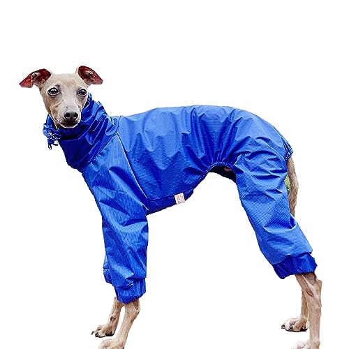 D Doggy Star Regenmantel für italienische Windhunde, wasserdichte Jacke, Windbreaker, Kleidung für Hunde, Größe XXL, Regenmantel, Blau D Doggy Star Regenmantel für italienische Windhunde, wasserdichte Jacke, Windbreaker, Kleidung für Hunde, Größe XXL, Regenmantel, Blau von D DOGGY STAR