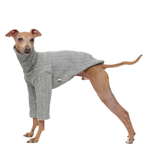 D Doggy Star Rollkragenpullover für italienische Windhunde, gerippt, weich, flexibel, warm, für Herbst und Winter, Größe 3XL, Grau D Doggy Star Rollkragenpullover für italienische Windhunde, gerippt, weich, flexibel, warm, für Herbst und Winter, Größe 3XL, Grau von D DOGGY STAR