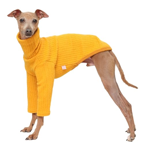 D Doggy Star Rollkragenpullover für italienische Windhunde, gerippt, weich, flexibel, warm, für Herbst und Winter, Größe M, Senf D Doggy Star Rollkragenpullover für italienische Windhunde, gerippt, weich, flexibel, warm, für Herbst und Winter, Größe M, Senf von D DOGGY STAR