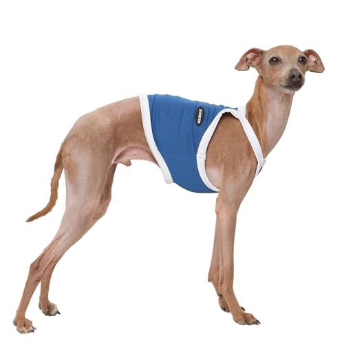 D Doggy Star T-Shirt für italienische Windhunde, Sommer, kühlendes String, ärmellos, bauchfreies Oberteil, Whippet für Hunde, Größe 3XL, Camisole Blau von D DOGGY STAR