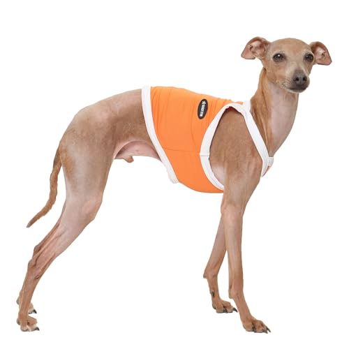D Doggy Star T-Shirt für italienische Windhunde, kühlend, ärmellos, bauchfreies Oberteil, Whippet für Hunde, Größe XXL, Camisole Orange von D DOGGY STAR