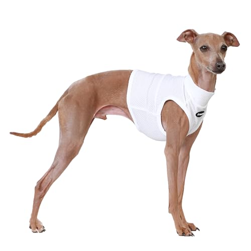 D Doggy Star T-Shirt für italienische Windhunde, kühlend, bauchfreies Oberteil, Whippet für Hunde, Größe 3XL, Weiß (Coolcrop White) von D DOGGY STAR