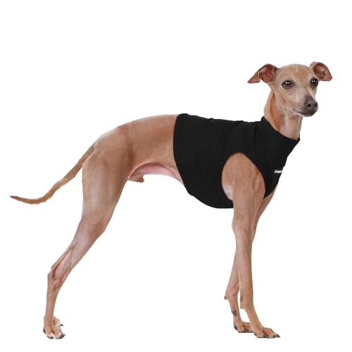 D Doggy Star T-Shirt für italienische Windhunde, kühlend, bauchfreies Oberteil, Whippet für Hunde, Größe XL, Schwarz von D DOGGY STAR
