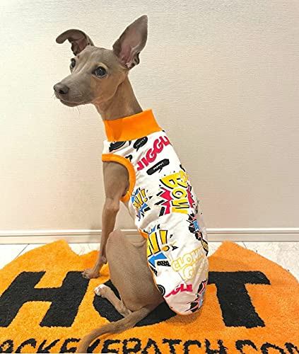 Doggystar Hunde-T-Shirt, italienischer Windhund, Wow-Muster, italienisches Windhund-Design, Schwarz, Größe XL von D DOGGY STAR