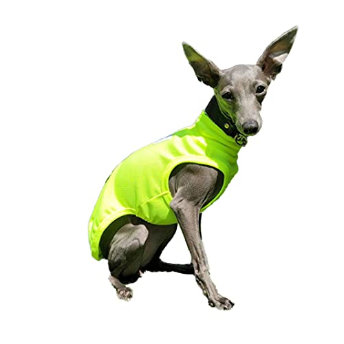Italienischer Windhund-Kleidung, cooles Tank-Top, Whippet-Kleidung, Bedlington Terrier, Kleidung, Doggy Star (Gelb, X-Large) von D DOGGY STAR