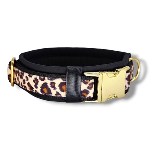 D by E Couture Hundehalsband – Golden Leo Love II - gepolstert, verstellbar, 30mm Breite, Verschiedene Größen, Handmade (M (ca. 36-42cm)) von D by E Couture