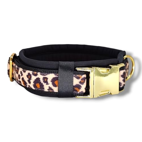 D by E Couture Hundehalsband – Golden Leo Love II - gepolstert, verstellbar, 30mm Breite, Verschiedene Größen, Handmade (XS (ca. 24-30cm)) von D by E Couture